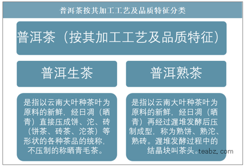 普洱茶主要种类