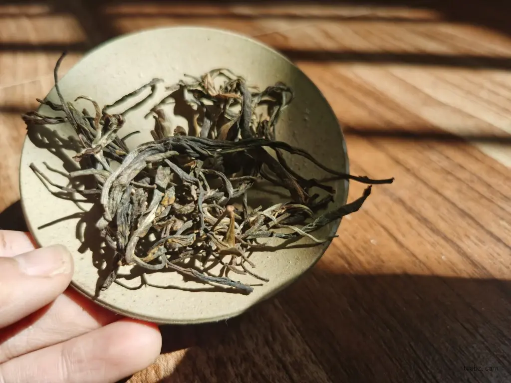 一泡普洱生茶