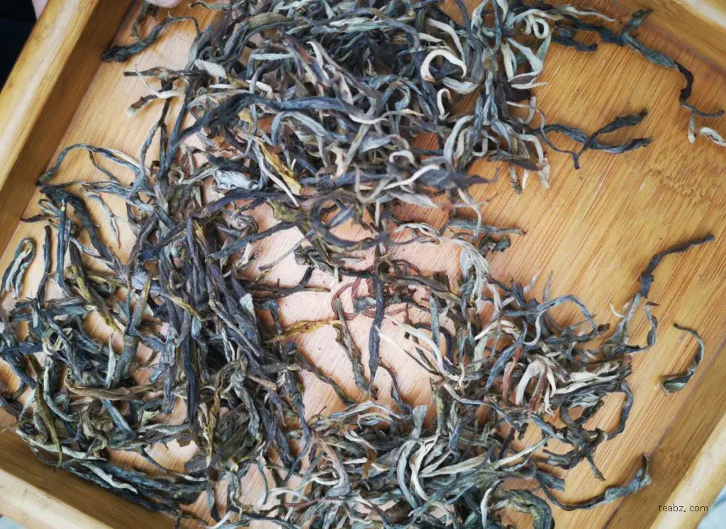 普洱茶鉴赏