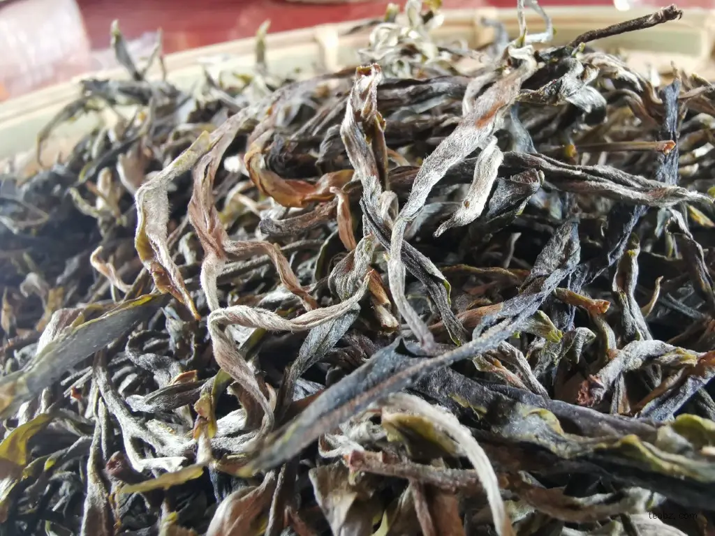 云南大叶种生茶 - 《茶经》一之源