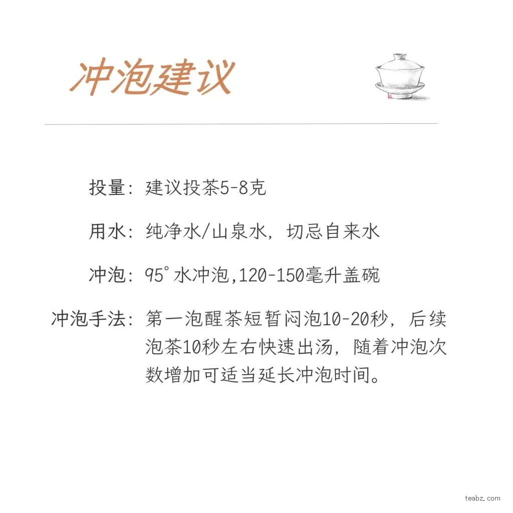 熟茶冲泡