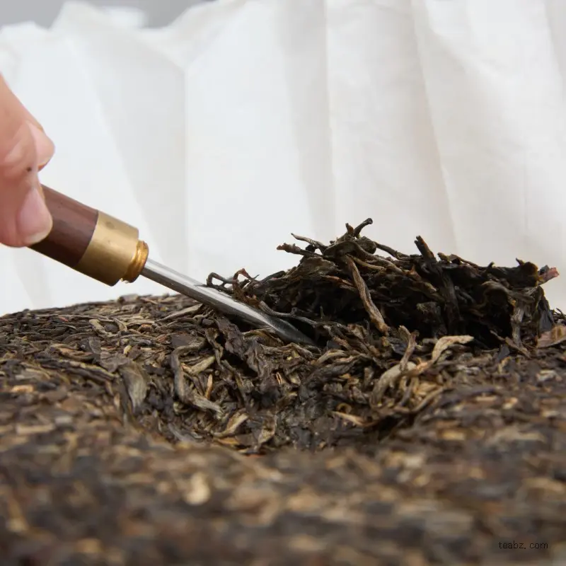 pu-erh-raw-tea-infusion-4129